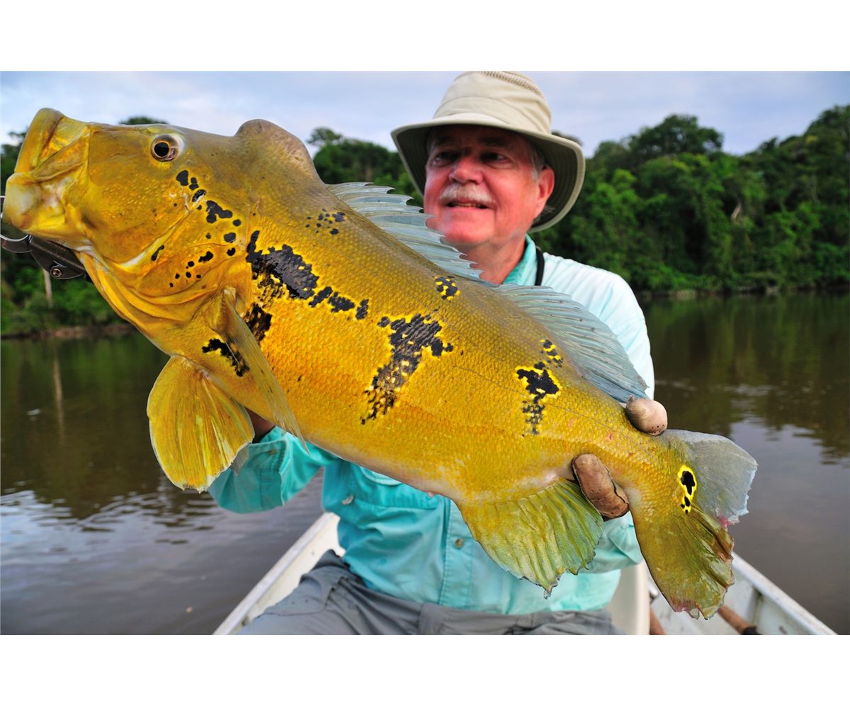 12+ Exotic Species Found Only In Brazil