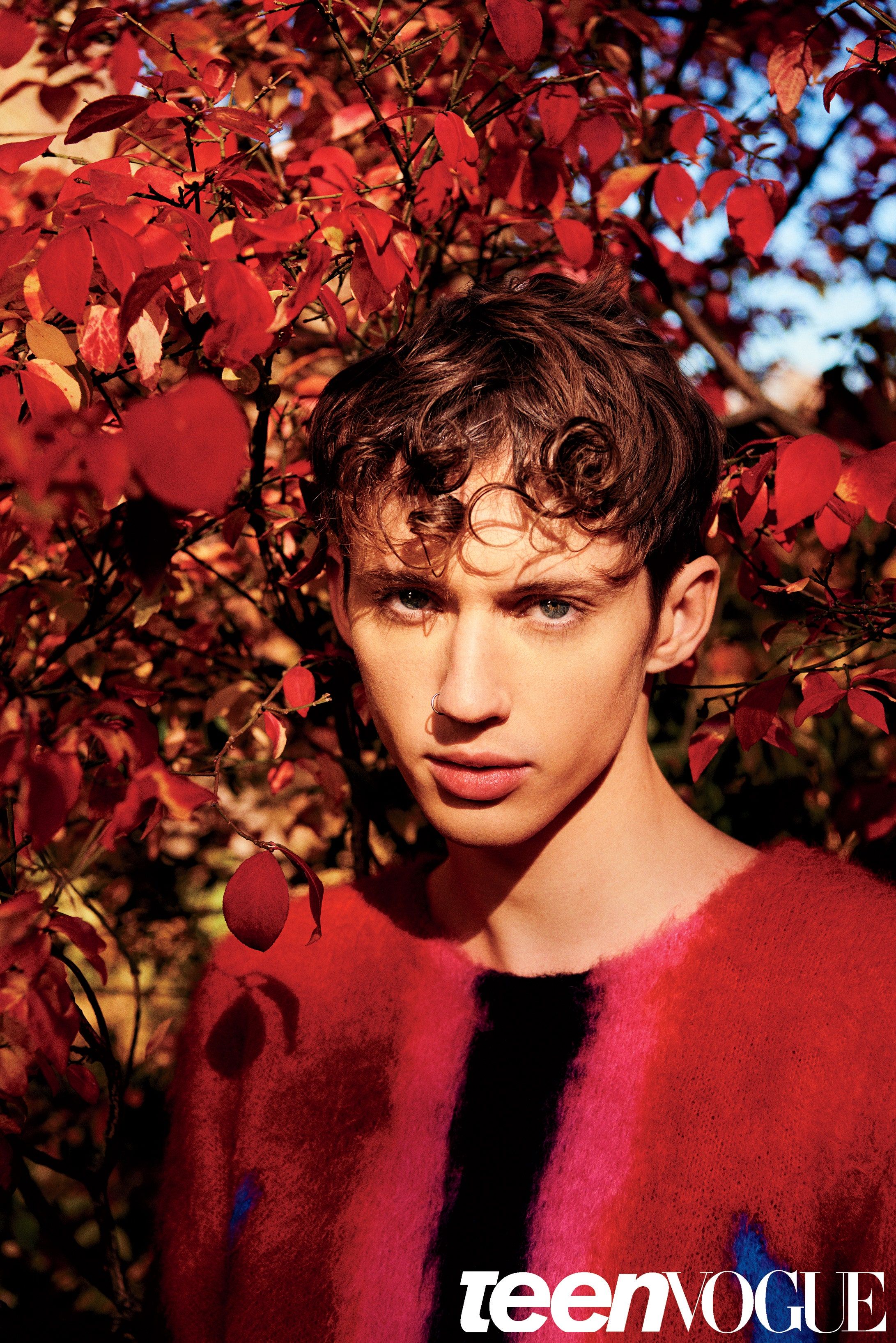 12+ Troye Sivan Gay Insights You Need