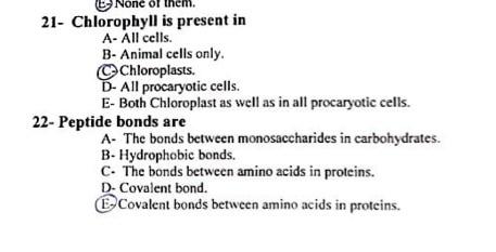 Animal Cells Have Chloroplasts