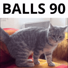 Balls Deep Sex Gif