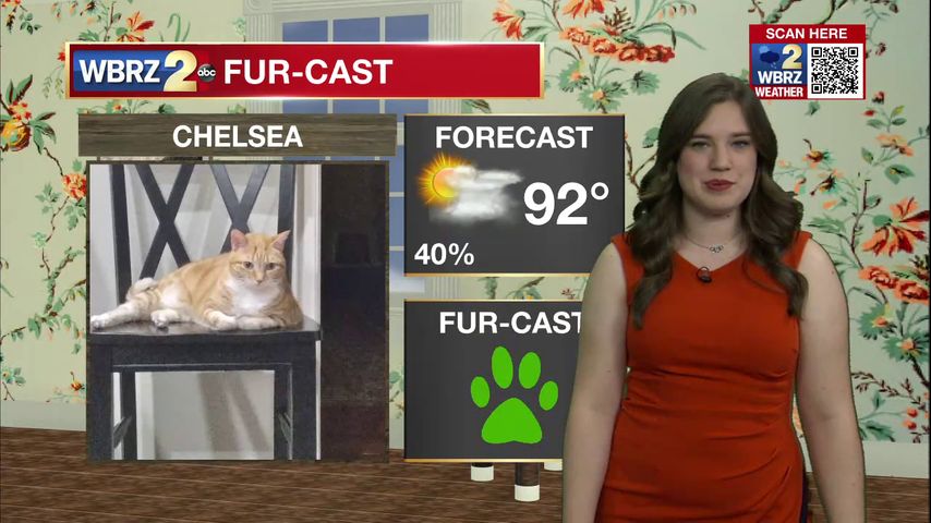 Chelsea Fur Porn