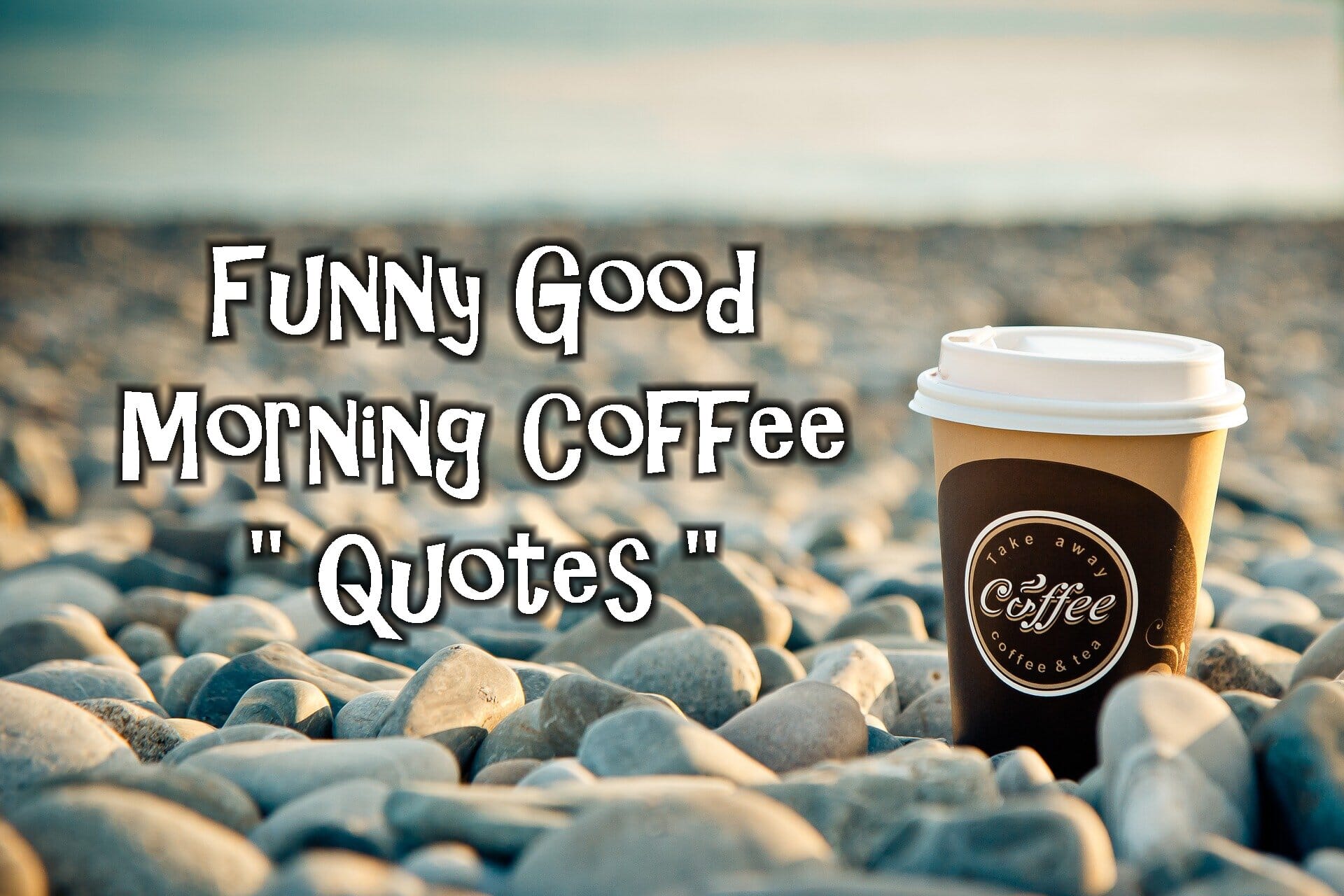 Freak In Sheets Guide: Funny Morning Coffee