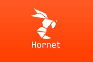 Hotel Hookup Gay