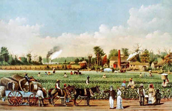 How Did Georgia Colony Economy Grow? Success Tips