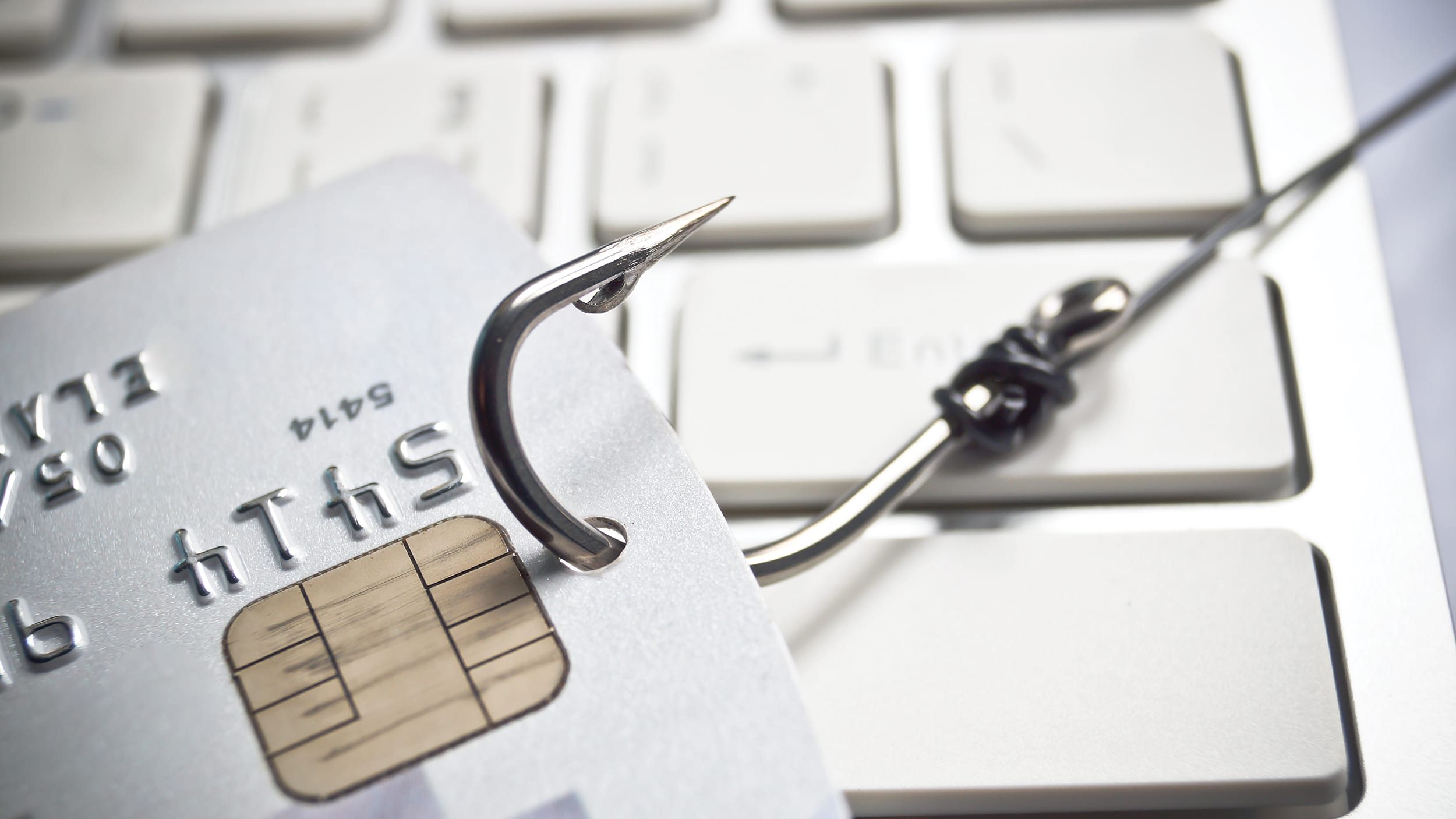 How To Avoid Dirty Dawz Scams? Protect Yourself