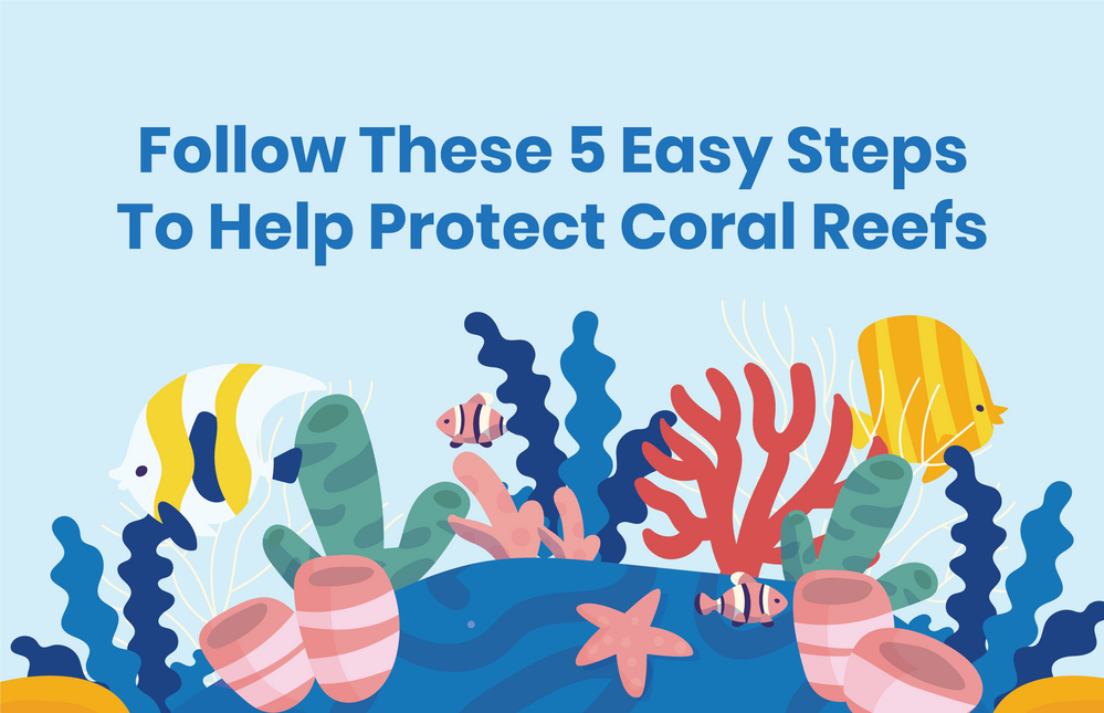 How To Protect Coral Beed Nude? Simple Actions