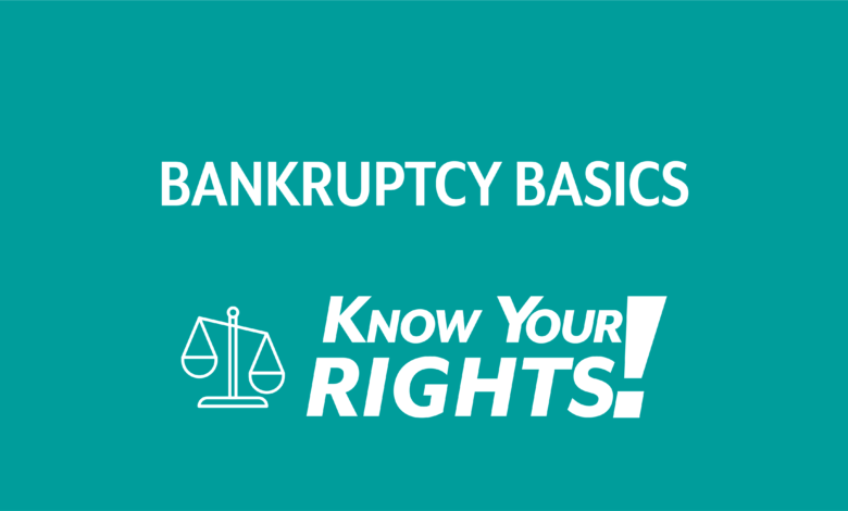 Legal Porn Basics: Know Your Rights