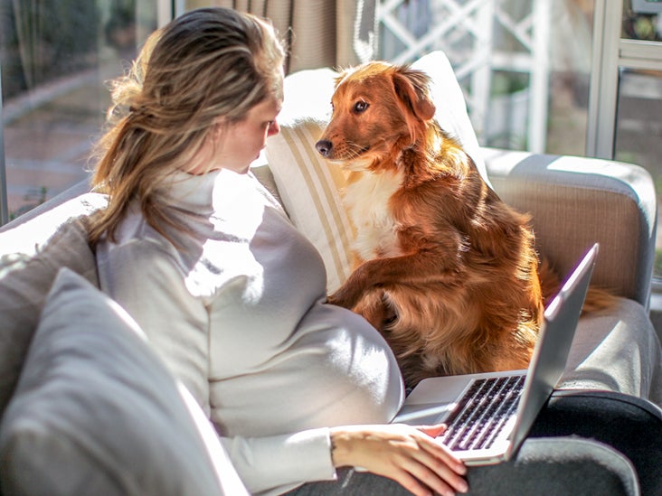 Pregnant Dog Sex: Safety Guidelines