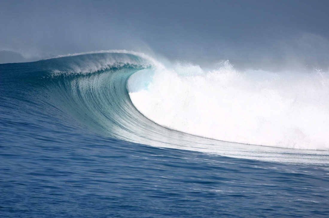 What Are Abiotic Factors In The Ocean