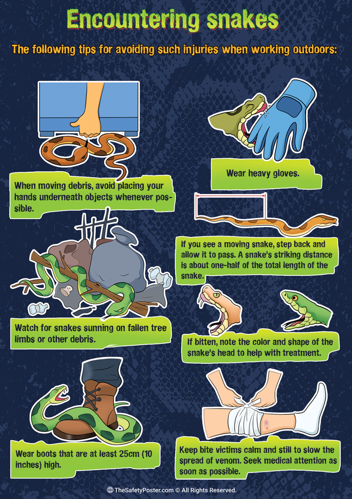 What Happens When Guy Has Sex With Snake? Safety Guide