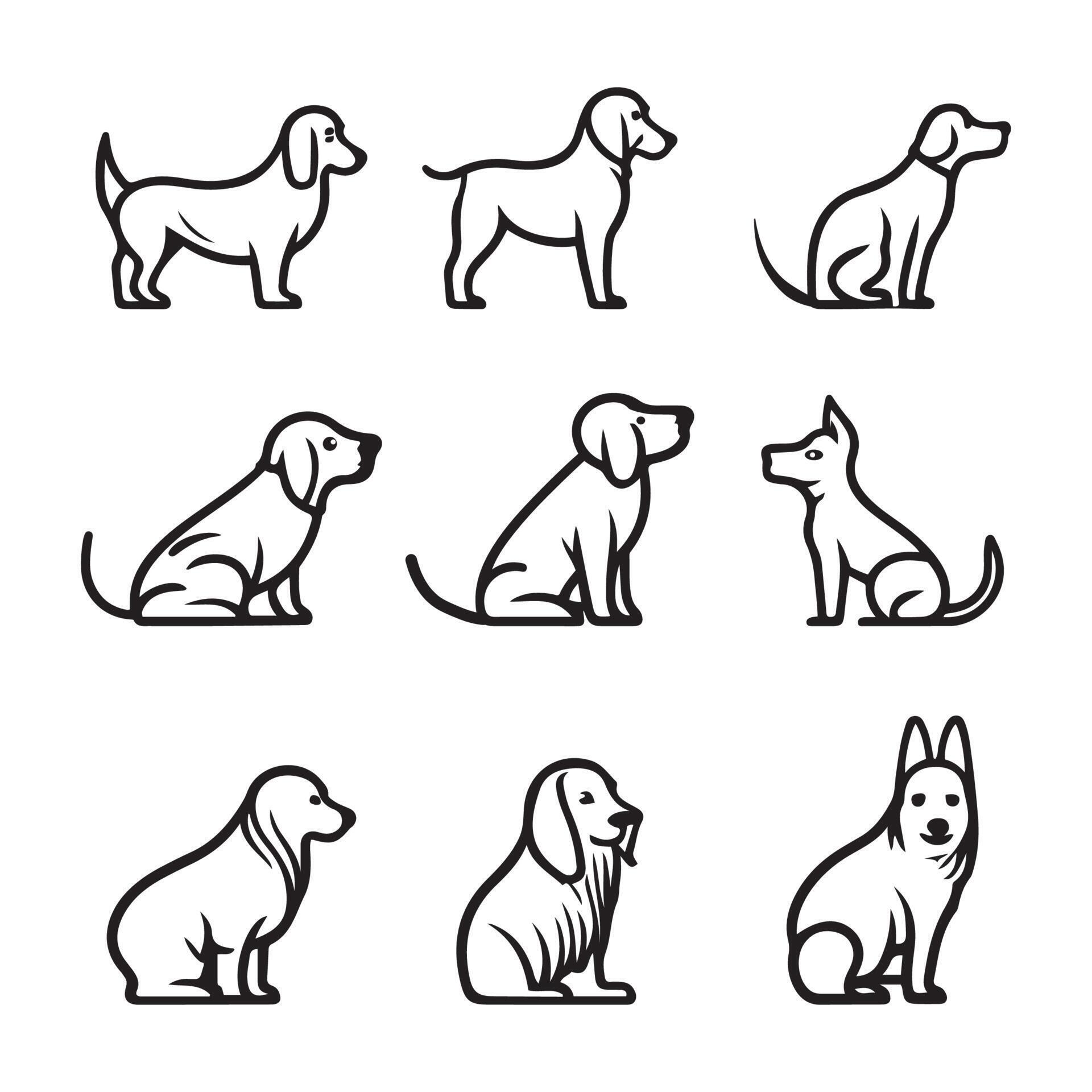 What Is Dog Creampied? How To Help