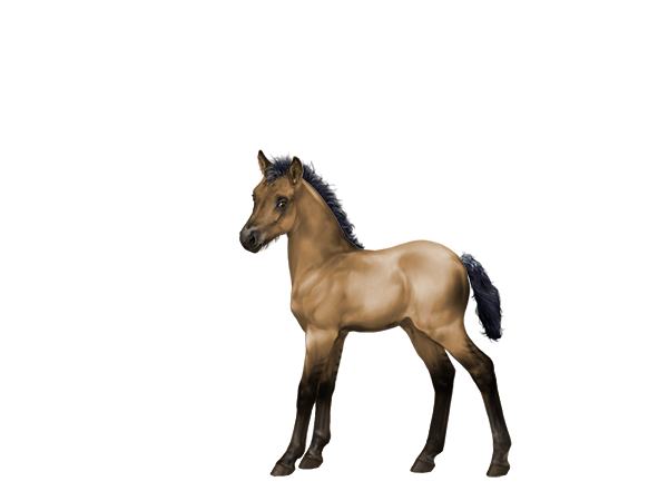 5 Bizarre Horse Facts